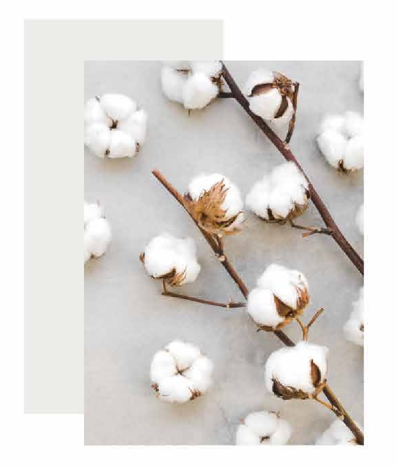 cotton